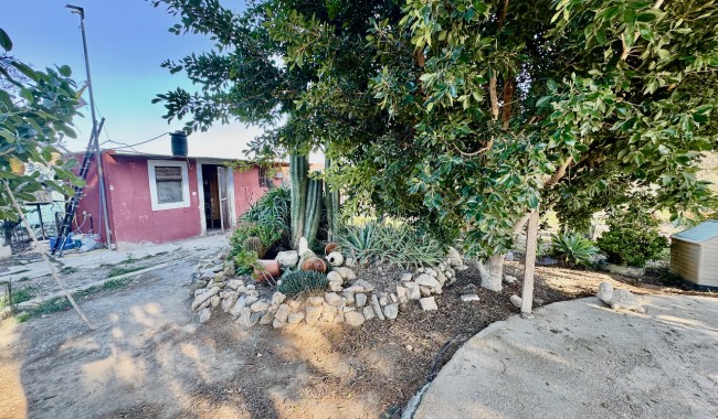 Resale - Finca - Guardamar