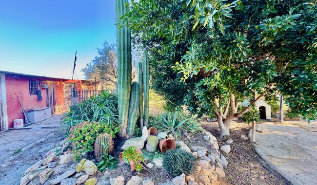 Resale - Finca - Guardamar