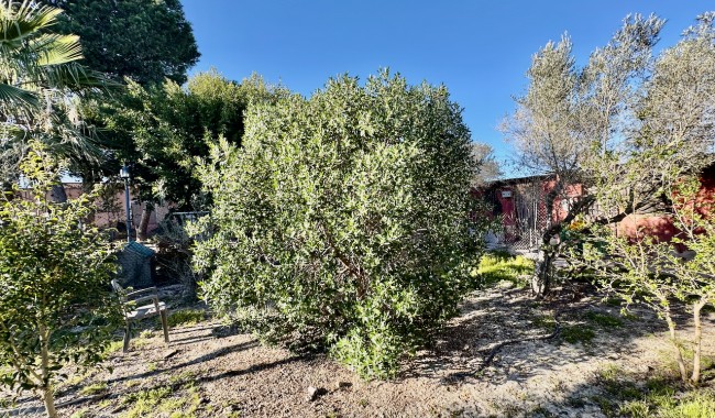 Resale - Finca - Guardamar