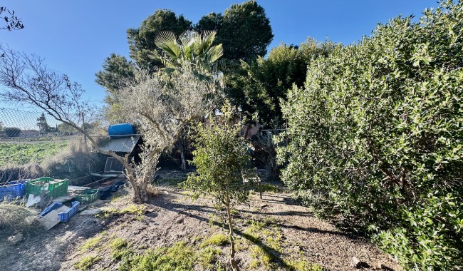 Resale - Finca - Guardamar