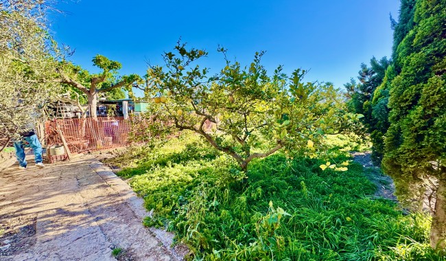 Resale - Finca - Guardamar