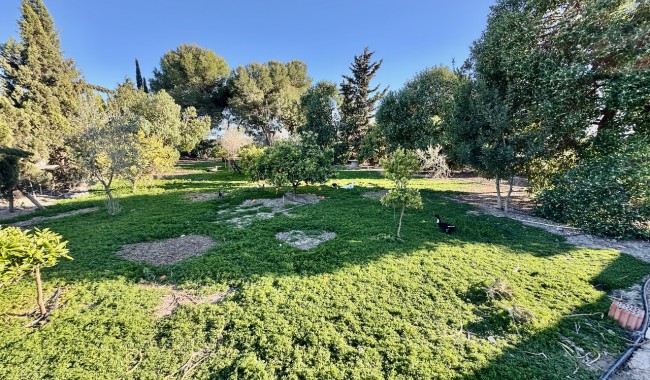 Resale - Finca - Guardamar