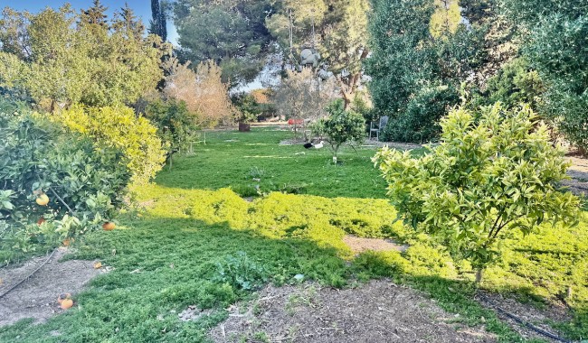 Resale - Finca - Guardamar