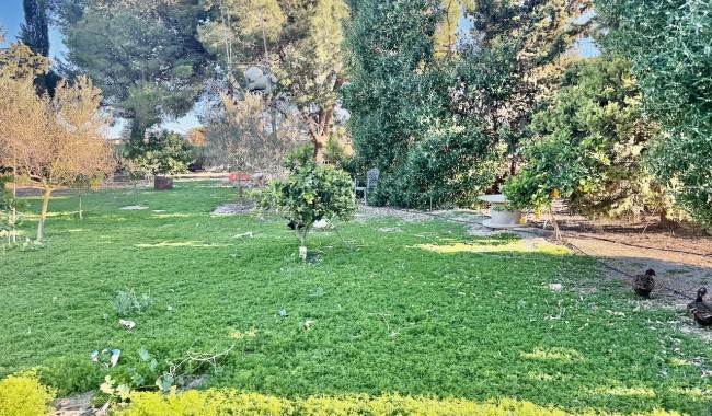 Resale - Finca - Guardamar