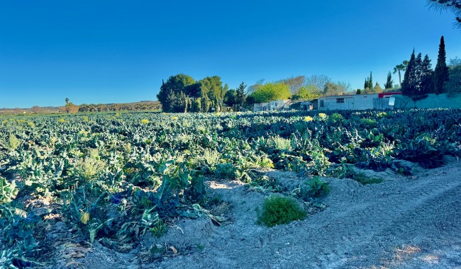Resale - Finca - Guardamar