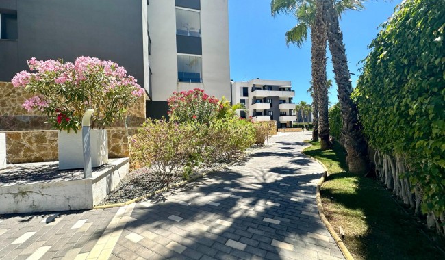 Begagnad - Lägenhet - Orihuela Costa - PAU 8