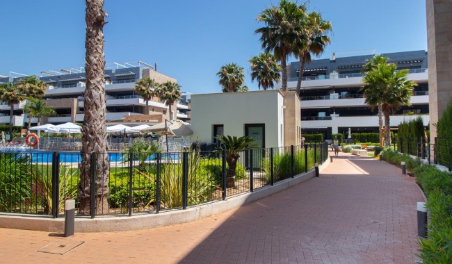 Begagnad - Lägenhet - Orihuela Costa - Playa Flamenca