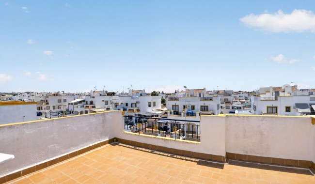 Sprzedaż - Apartament - Torrevieja - Torreta florida