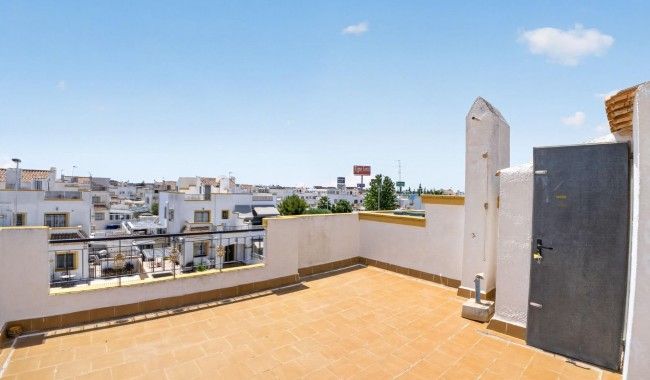 Sprzedaż - Apartament - Torrevieja - Torreta florida