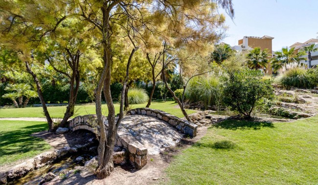 Sprzedaż - Apartament - Torrevieja - Punta Prima