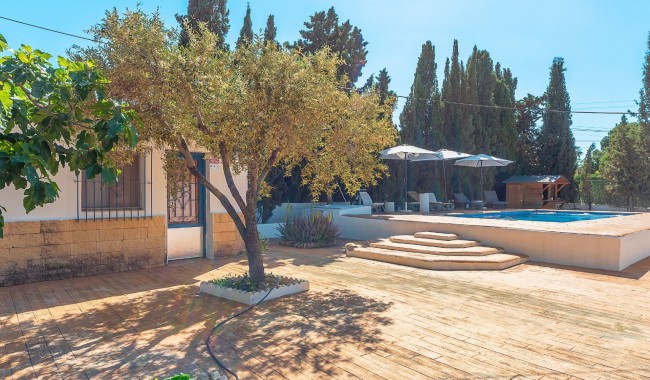 Segunda mano - Villa - San Vicente del Raspeig