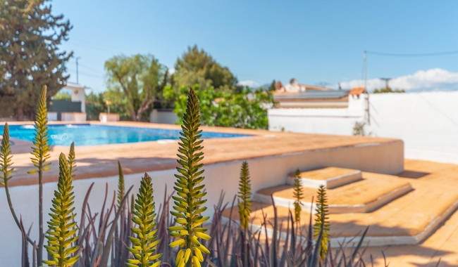 Segunda mano - Villa - San Vicente del Raspeig