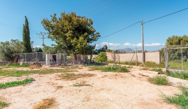 Segunda mano - Villa - San Vicente del Raspeig