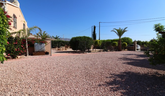 Resale - Finca - Albatera - Albatera - Country