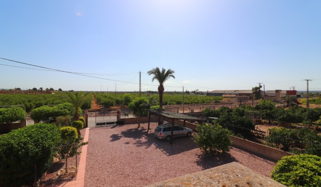 Resale - Finca - Albatera - Albatera - Country