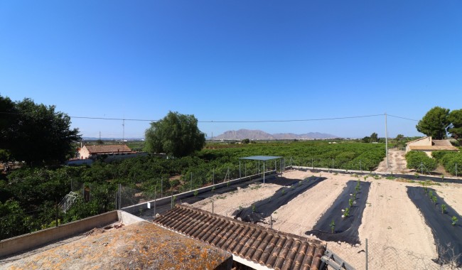Resale - Finca - Albatera - Albatera - Country
