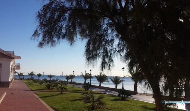 Nybyggnation - Villa - Los Alcázares - Serena Golf