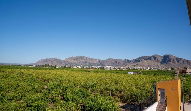 Segunda mano - Finca - Orihuela - Orihuela*