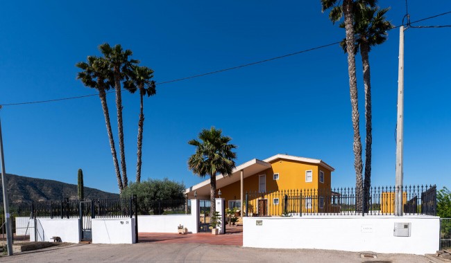 Segunda mano - Finca - Orihuela - Orihuela*