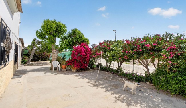 Brukt - Finca - Orihuela - Desamparados-Hurchillo-Torremendo