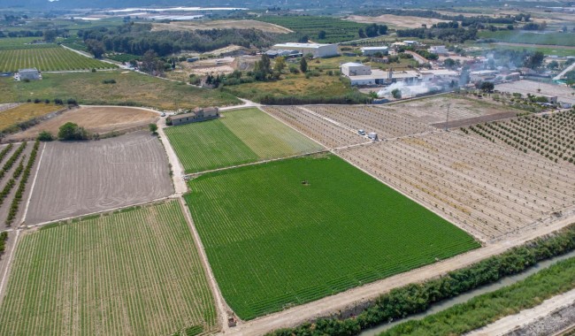 Brukt - Finca - Orihuela - Desamparados-Hurchillo-Torremendo