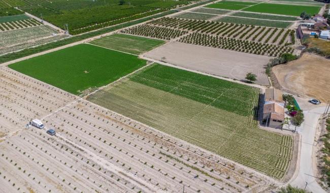 Brukt - Finca - Orihuela - Desamparados-Hurchillo-Torremendo