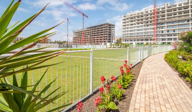 Begagnad - Lägenhet - Torrevieja - Punta prima