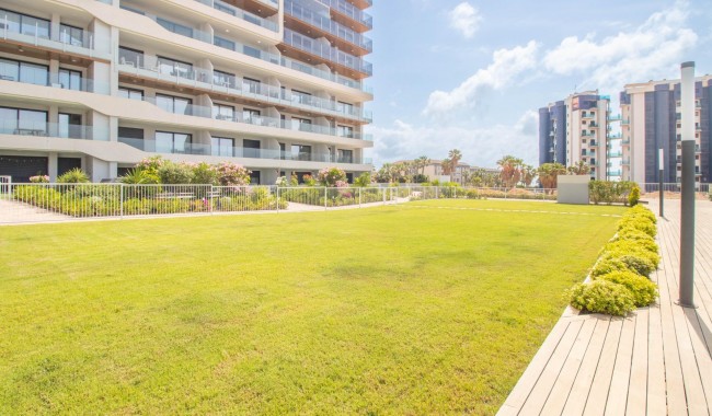 Begagnad - Lägenhet - Torrevieja - Punta prima