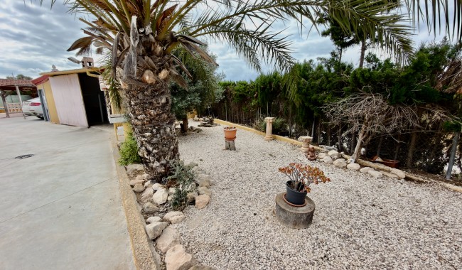 Begagnad - Finca - San Fulgencio - La Marina