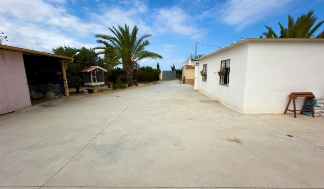 Begagnad - Finca - San Fulgencio - La Marina