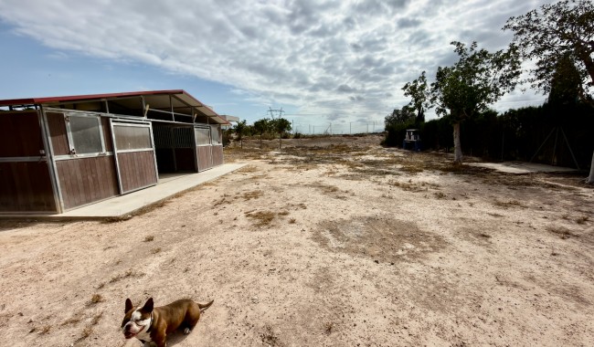 Begagnad - Finca - San Fulgencio - La Marina