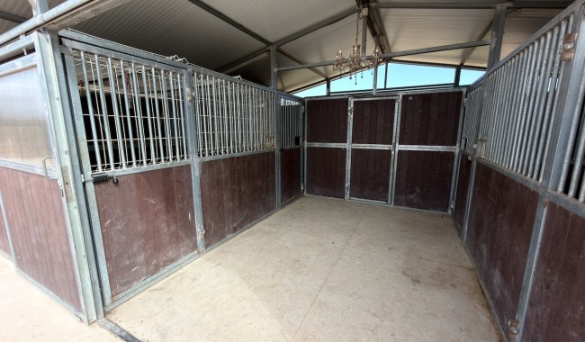 Begagnad - Finca - San Fulgencio - La Marina