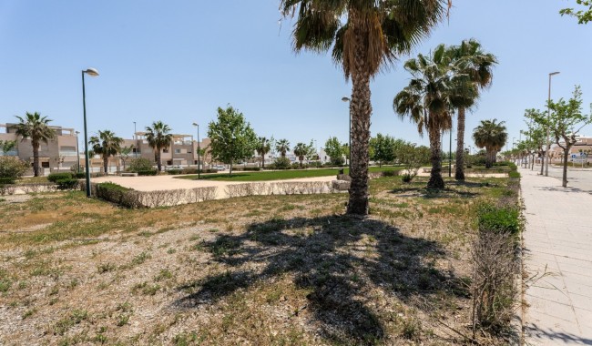 Sprzedaż - Apartament - Torre de la Horadada