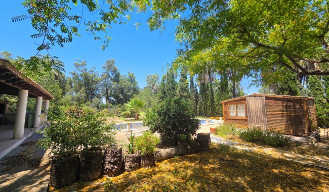 Resale - Villa - Elche