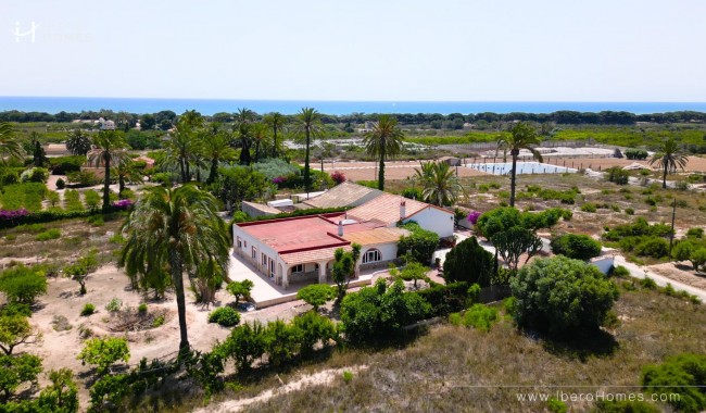 Finca - Segunda mano - La Marina - La Marina