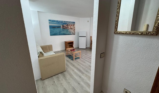 Segunda mano - Apartamento - Torrevieja - Playa de Los Locos-Curva del Palangre