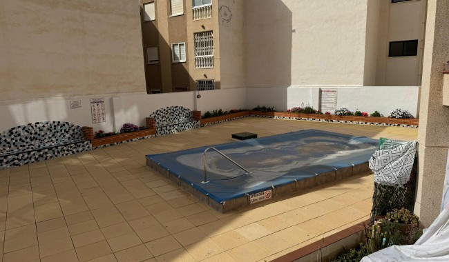Segunda mano - Apartamento - Torrevieja - Playa de Los Locos-Curva del Palangre