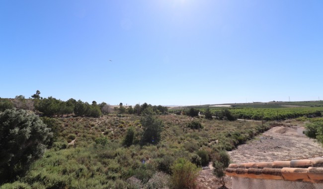 Resale - Villa - San Miguel de Salinas - Lake View Mansions