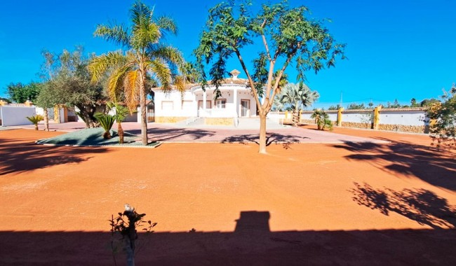 Resale - Finca - Catral - Catral - Country