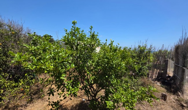 Resale - Townhouse - Guardamar - Beach Guardamar