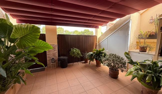 Segunda mano - Adosado - Torrevieja - Los Balcones