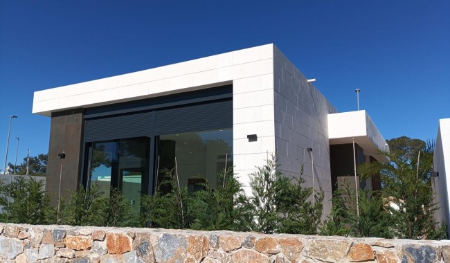 Nueva construcción  - Villa - Pilar de La Horadada - Roda Golf
