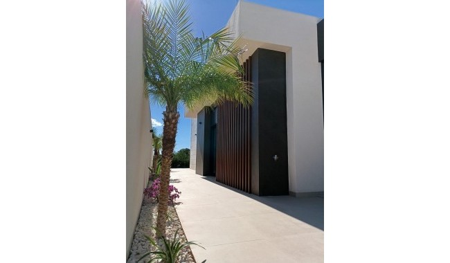 Nueva construcción  - Villa - Pilar de La Horadada - Roda Golf