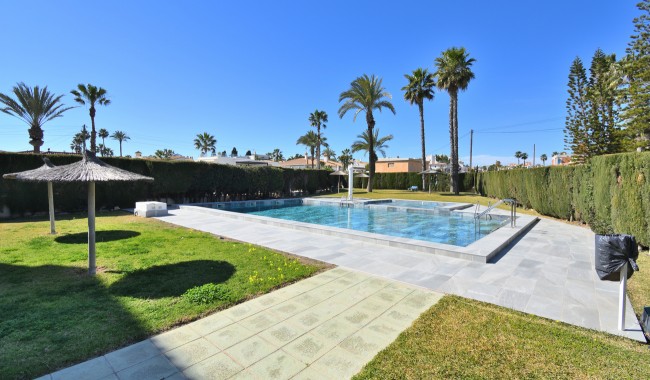 Segunda mano - Apartamento - Orihuela Costa - Playa Flamenca