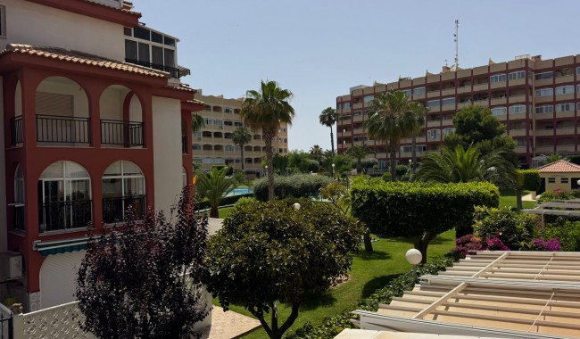 Leilighet - Brukt - Torrevieja - Torrevieja
