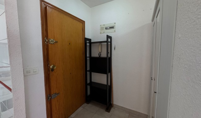 Segunda mano - Apartamento - Torrevieja