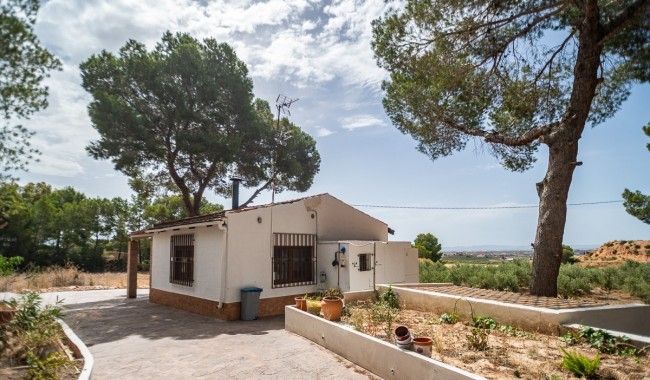 Begagnad - Finca - La Tercia