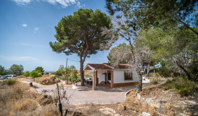 Begagnad - Finca - La Tercia