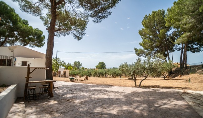 Begagnad - Finca - La Tercia