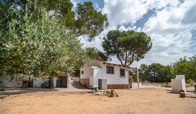 Begagnad - Finca - La Tercia